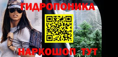 a pvp Пушкино