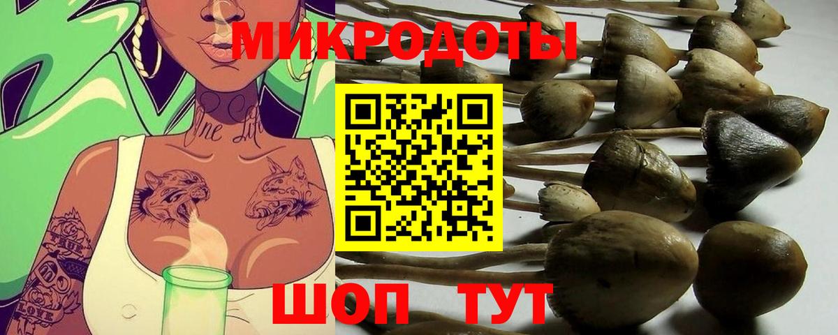 Галлюциногенные грибы Magic Shrooms  что такое   Батайск  Вход с VPN 