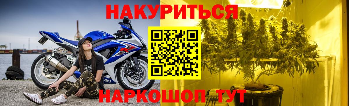 Каннабис сатива Батайск